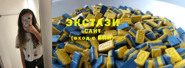 гашик Кулебаки