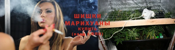 гашик Кулебаки