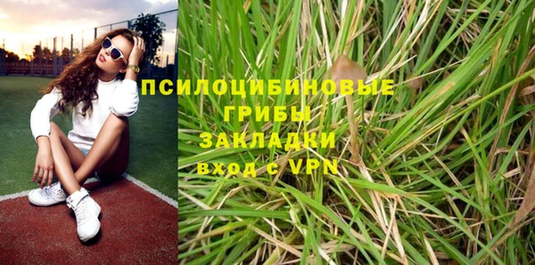 шишки Куйбышев