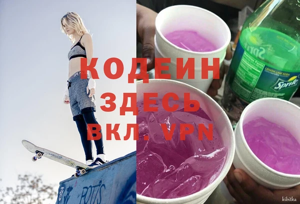 шишки Куйбышев