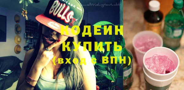 гашик Кулебаки