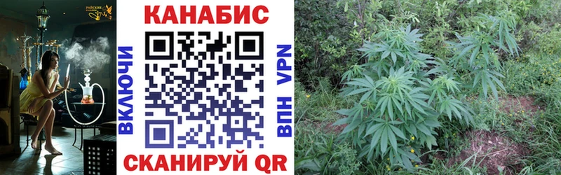 Канабис семена  где найти   Мамоново 